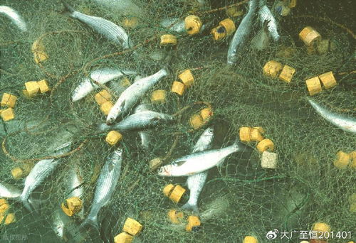 AquaTech 2026 馬來(lái)西亞漁業(yè)展覽會(huì) 領(lǐng)航漁業(yè)新紀(jì)元，驅(qū)動(dòng)畜牧漁業(yè)飼料銷(xiāo)售創(chuàng)新