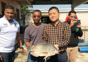 2019年海上絲綢之路國(guó)家水生動(dòng)物健康管理及檢驗(yàn)檢疫研修班項(xiàng)目圓滿落幕，成果豐碩助力畜牧漁業(yè)飼料銷(xiāo)售市場(chǎng)拓展